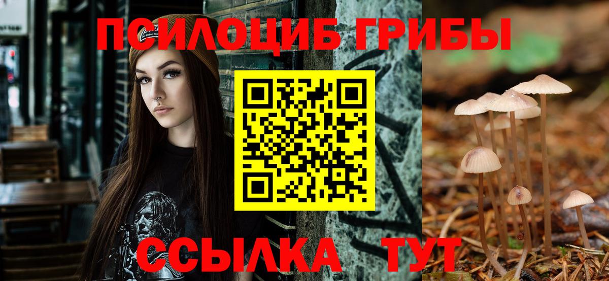 Галлюциногенные грибы Cubensis  Вход с VPN  Димитровград  Галлюциногенные грибы Cubensis 