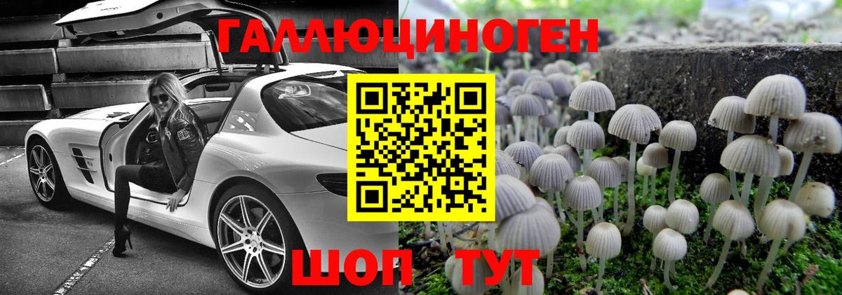 Галлюциногенные грибы Cubensis Димитровград