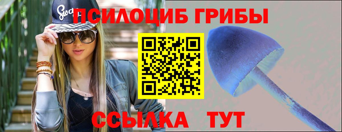 Конопля Димитровград